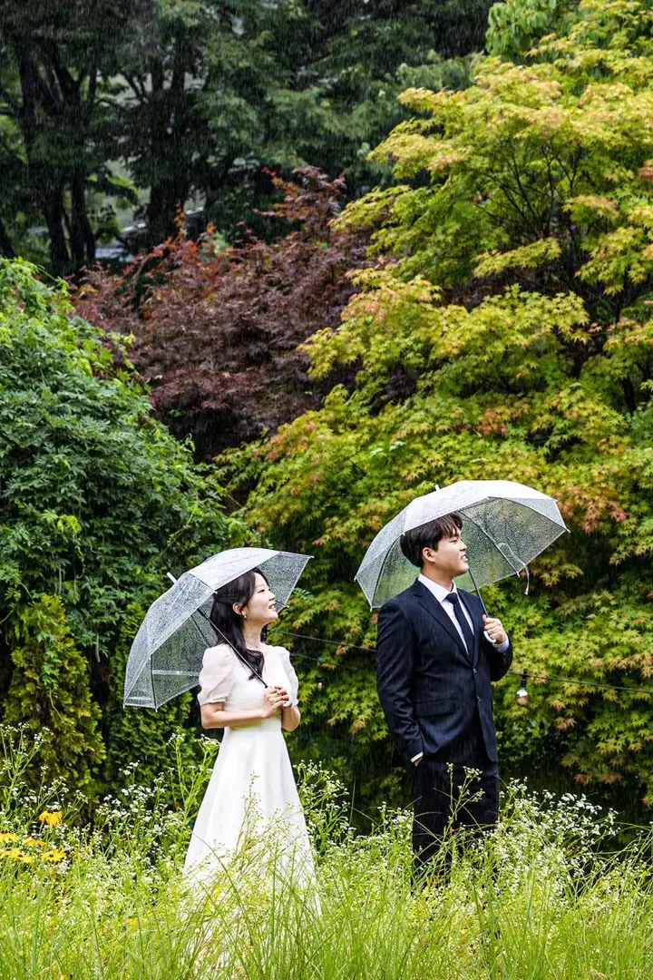 초록 숲 앞에서 투명 우산을 든 두 사람